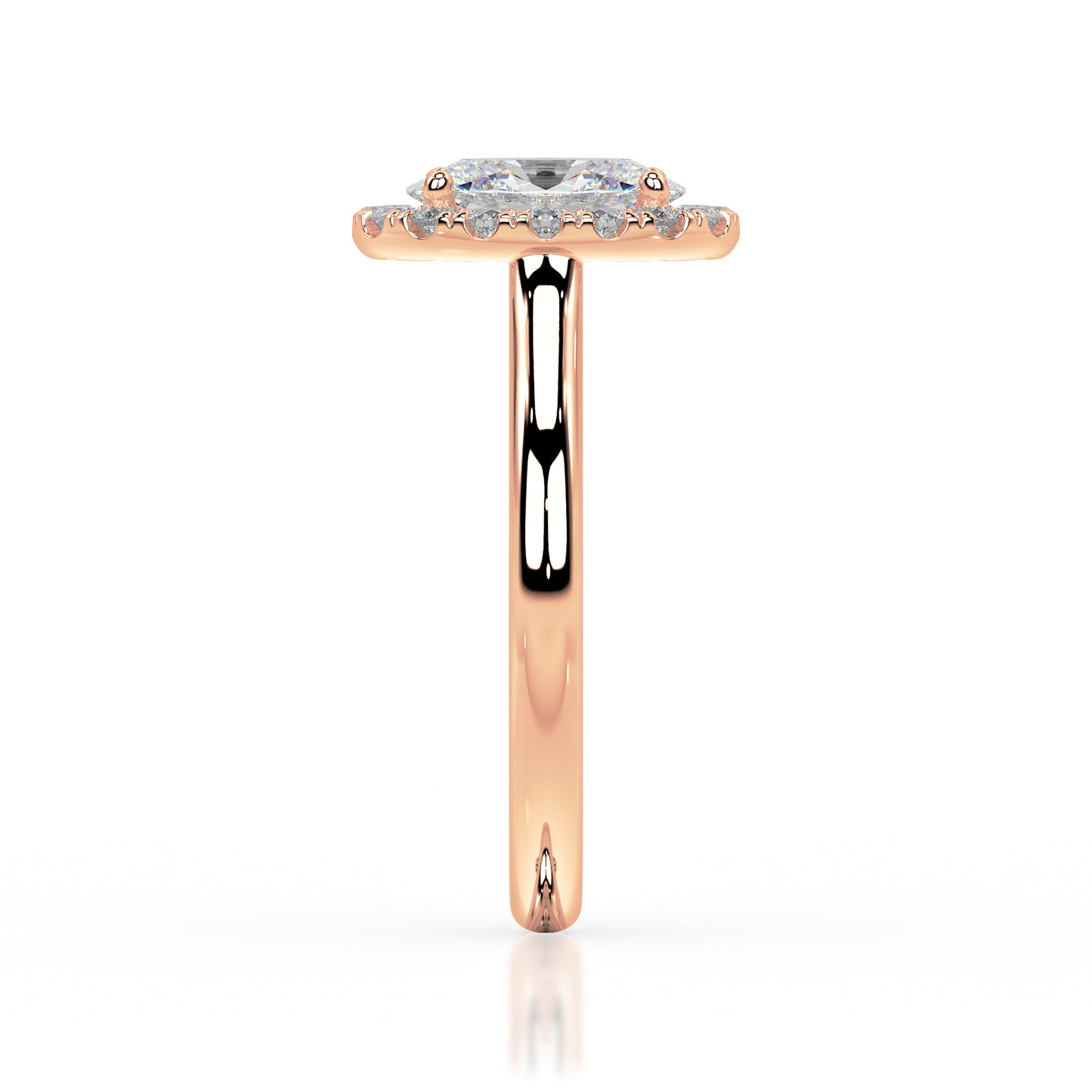The Halo Range