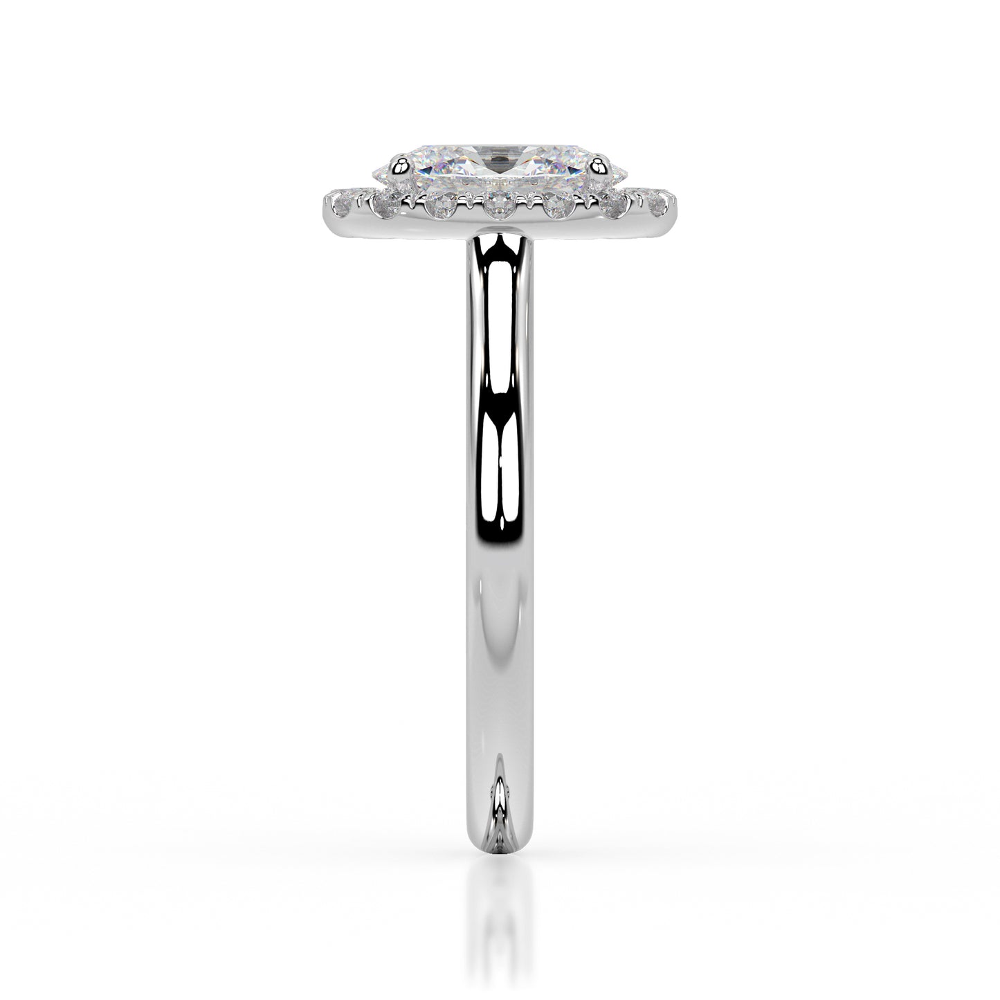 The Halo Range