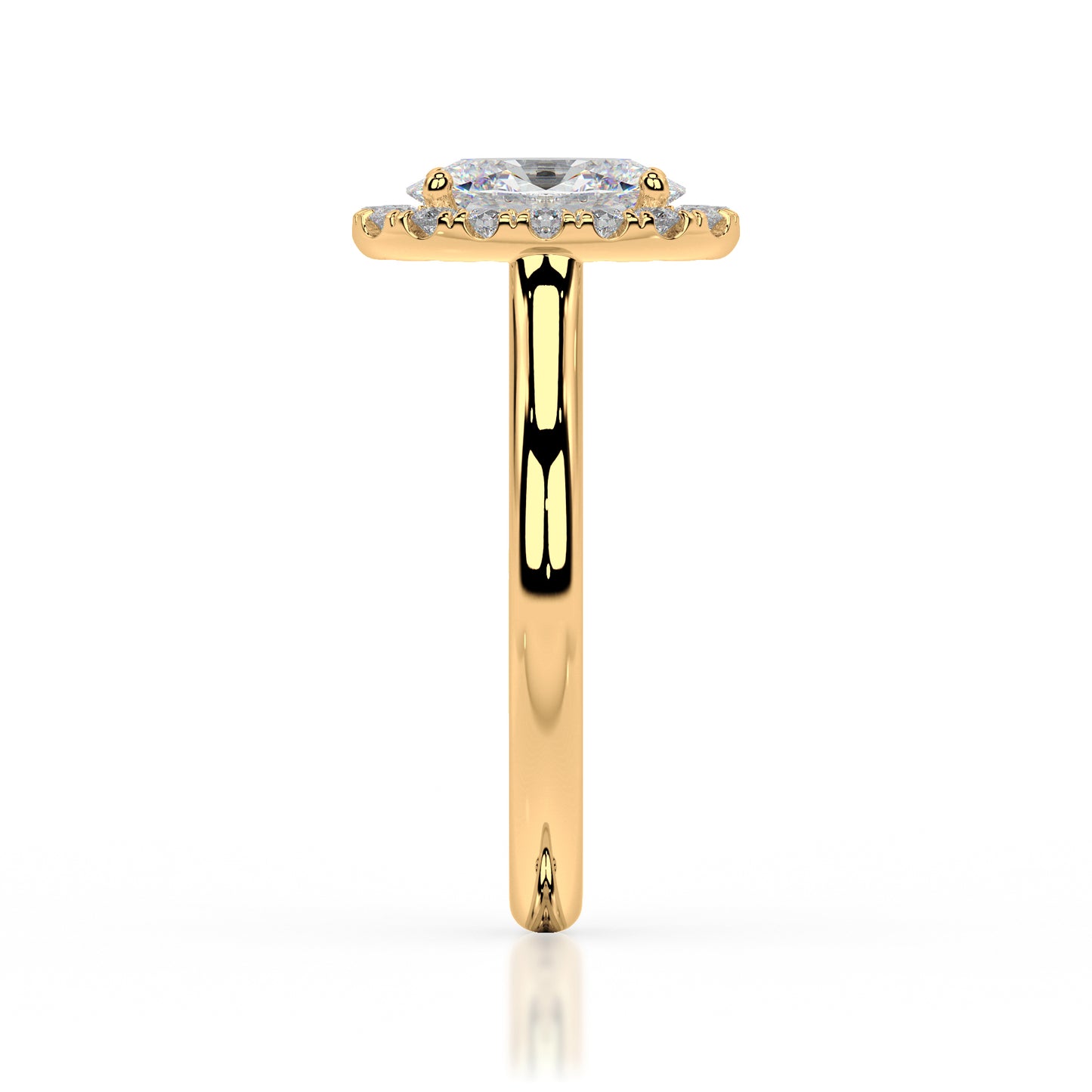 The Halo Range