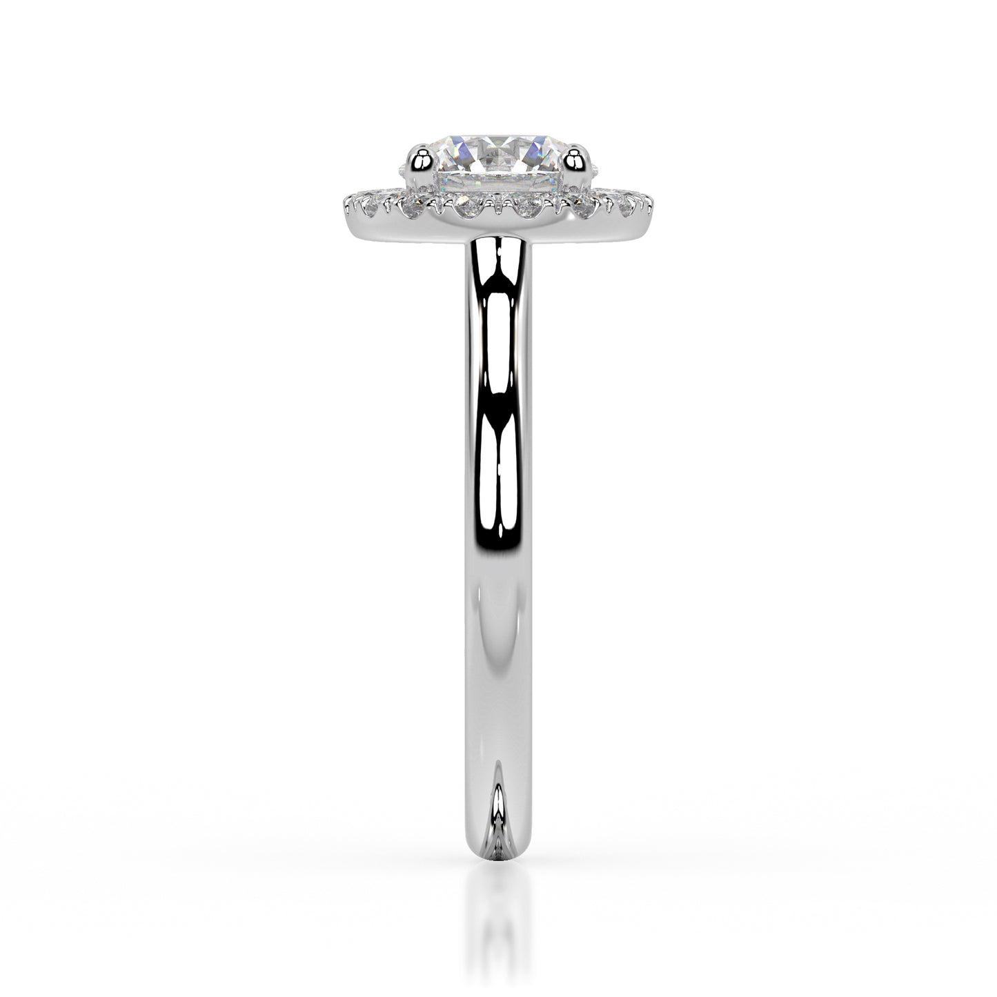 The Halo Range