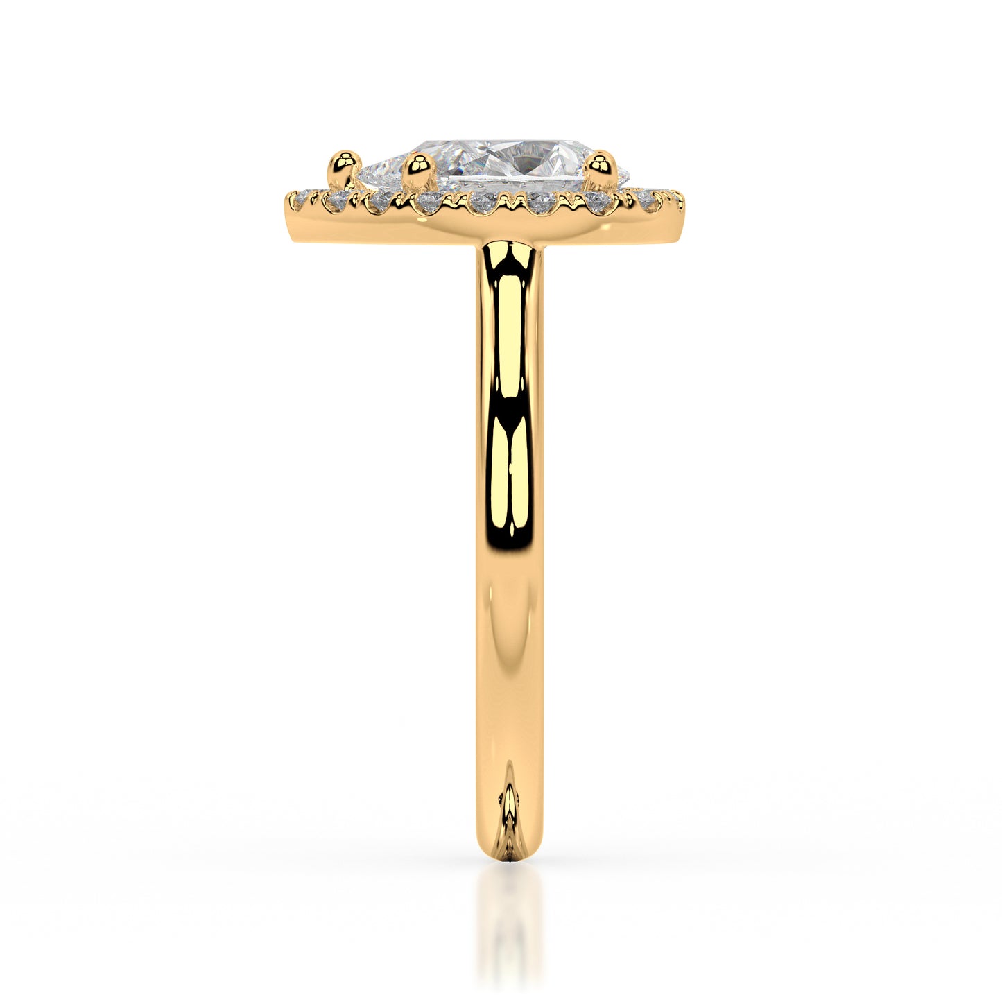 The Halo Range