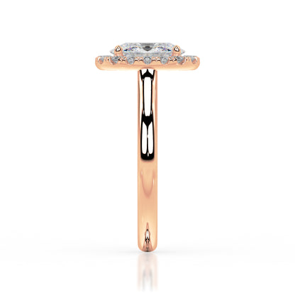 The Halo Range