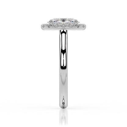 The Halo Range
