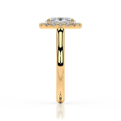 The Halo Range