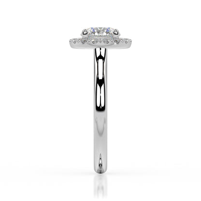 The Halo Range