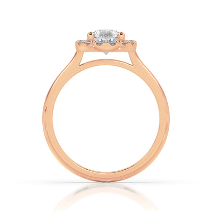 The Halo Range