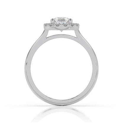 The Halo Range